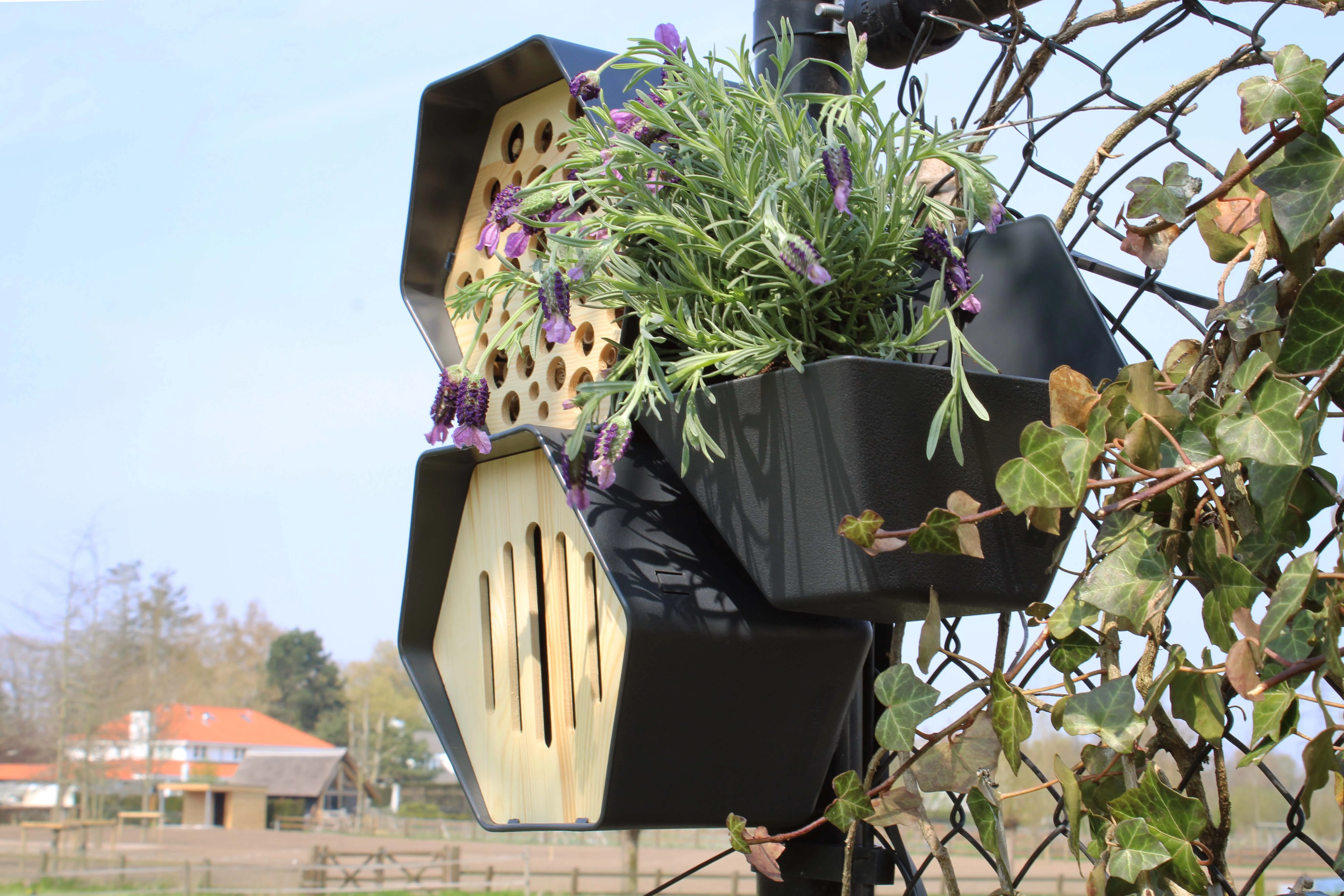 domek dla pszczół i motyli planter w ogrodzie capi europe