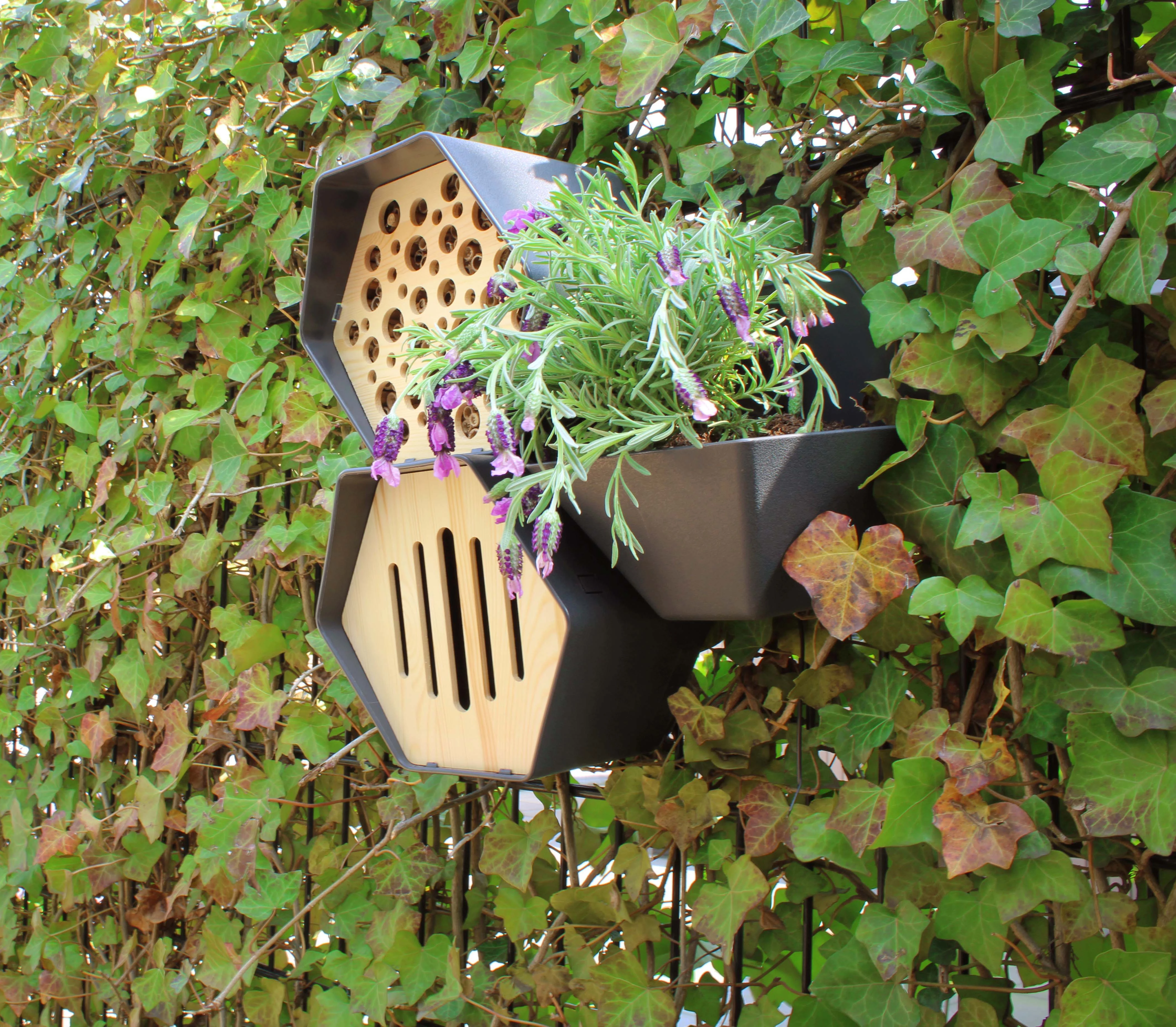 zestaw domek dla pszczół i motyli planter w ogrodzie