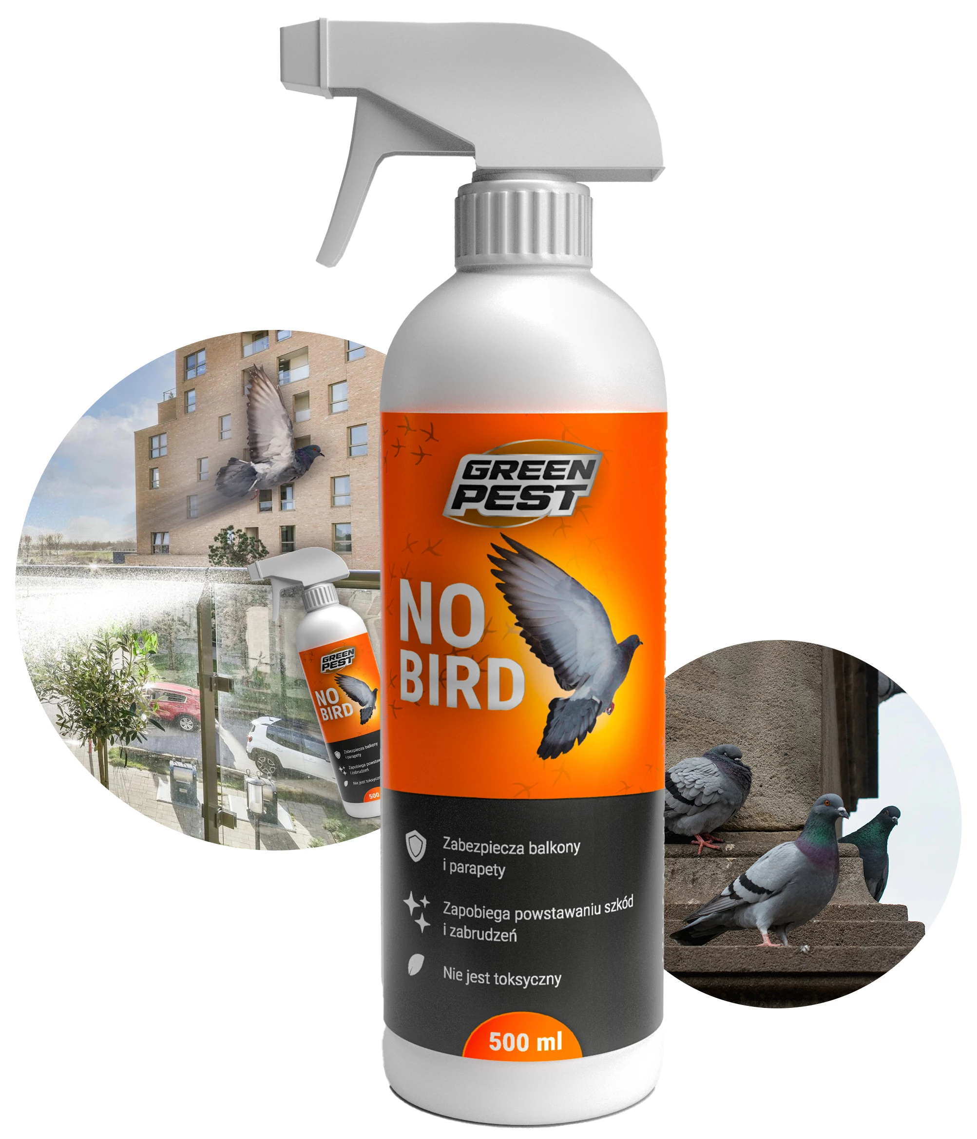 środek na gołębie, preparat odstraszający gołębie, środek na ptaki, no bird na ptaki, spray odstraszający ptaki, preparat odstraszający ptaki, spray na gołębie