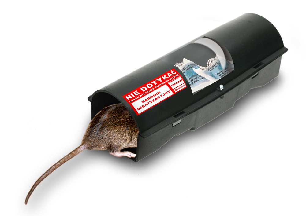trutka na szczury w stacji deratyzacyjnej